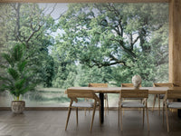 Serene countryside mural wallpaper
