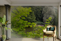 A harmonious and soothing outdoor setting
