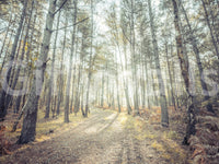 A detail of the sunbeams and shadows in the design.

