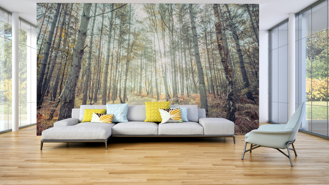 A contemporary living room with a large forest path wall mural.

