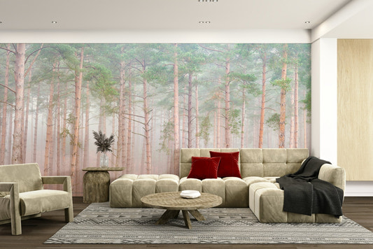 Peaceful forest scene.

