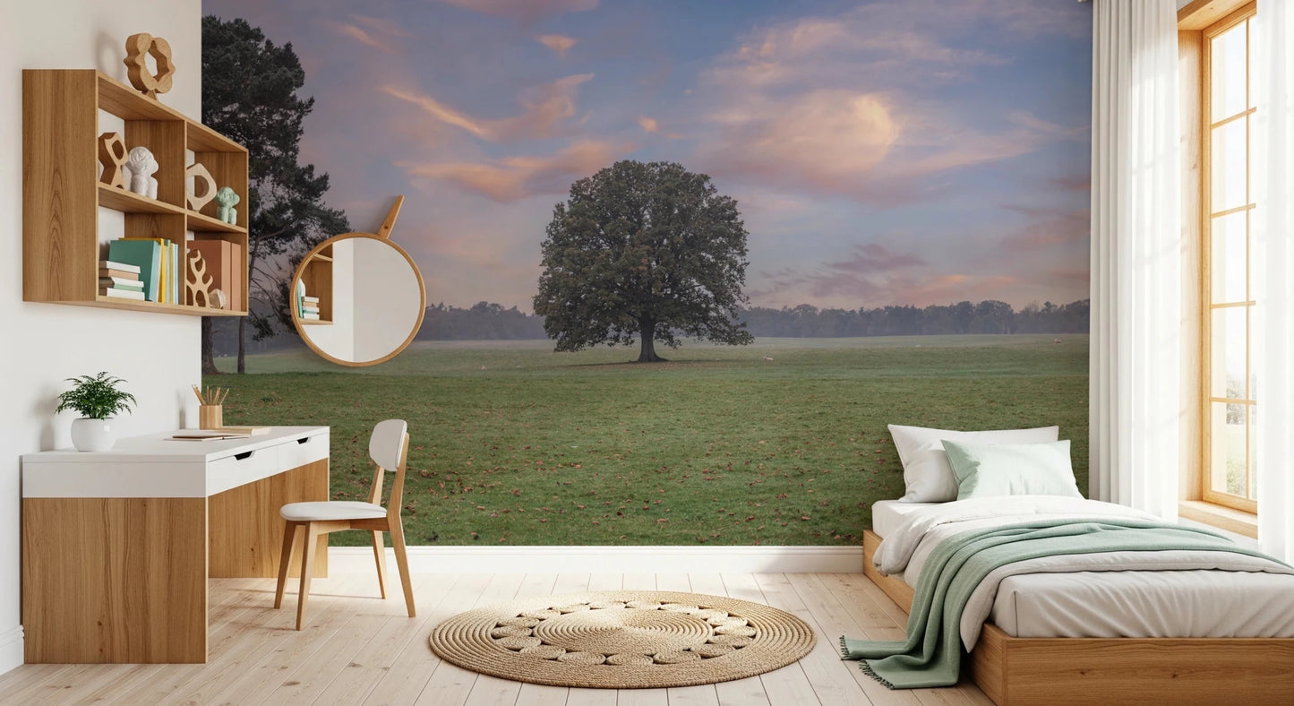 Scenic Tranquil Sunrise Field for bedroom Wall Mural featuring solitary oak tree