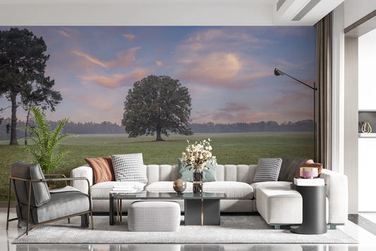 Tranquil Sunrise Field Wall Mural with golden morning light for living room.