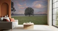 Nature inspired Tranquil Sunrise Field Wall Mural for modern hallway.