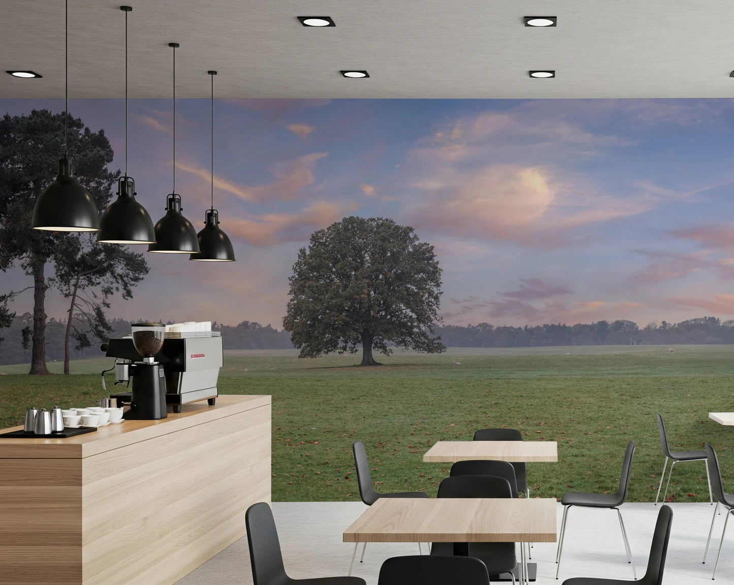 Serene horizon Tranquil Sunrise Field Wall Mural for office walls