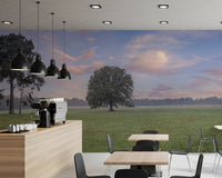 Serene horizon Tranquil Sunrise Field Wall Mural for office walls