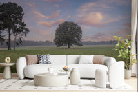 Peaceful meadow Tranquil Sunrise Field Wall Mural in morning light