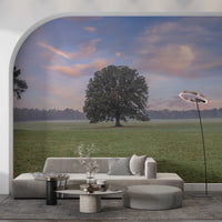 Misty morning Tranquil Sunrise Field Wall Mural with grazing sheep
