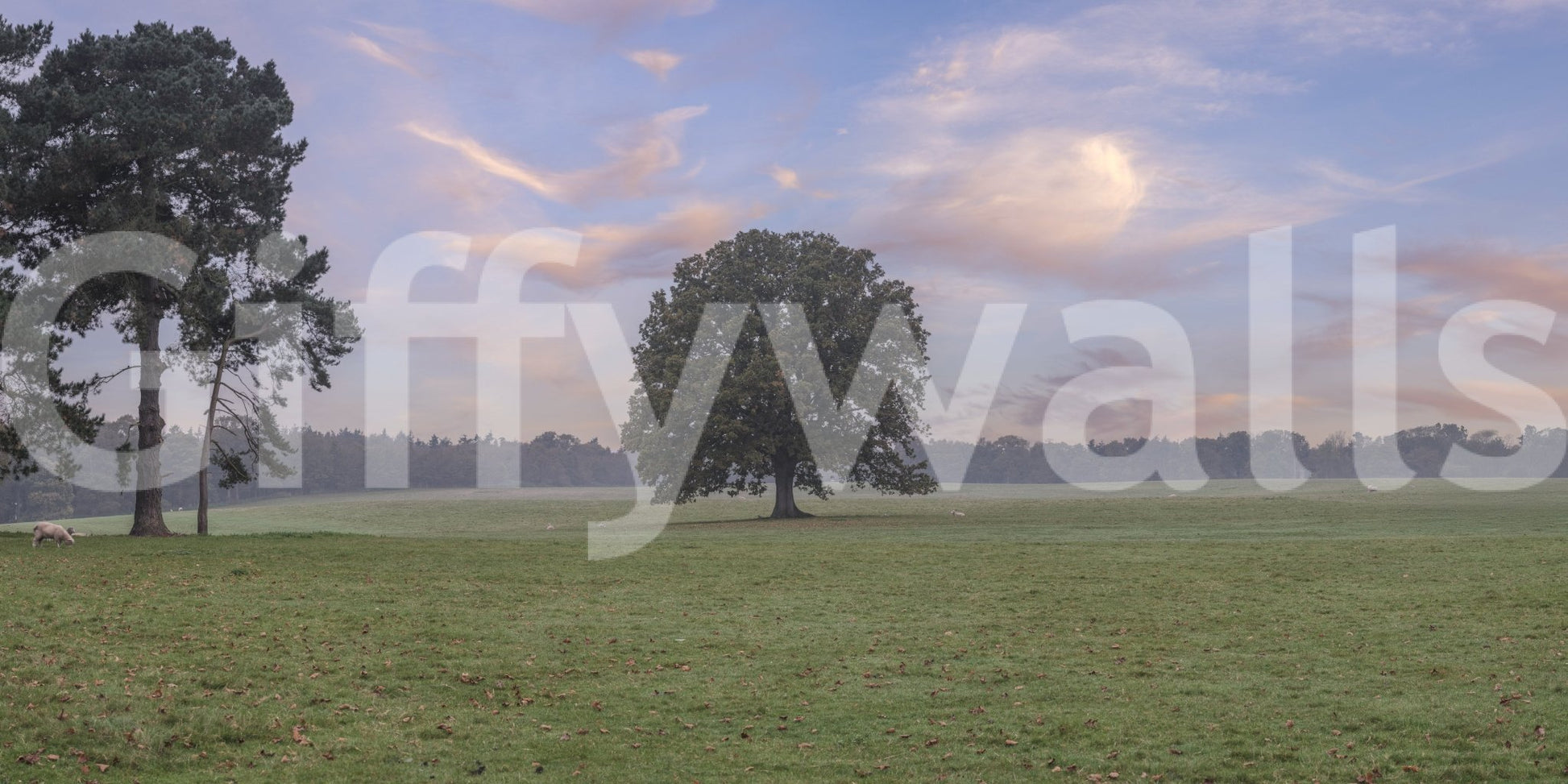 Modern wall mural of a natural sunrise landscape.