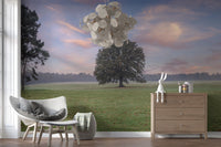 Photographic Tranquil Sunrise Field Wall Mural with wispy clouds