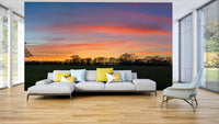 Serenity in Shadows wallpaper mural showing sunset trees behind a white sofa with yellow cushions in a bright glass living room