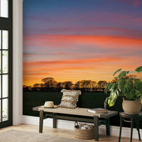 Serenity in Shadows wallpaper mural with vivid orange sunset and trees above a woven bench in a bright entryway