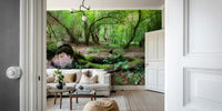 Calm forest scene wallpaper
