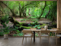 Soft green trees wallpaper

