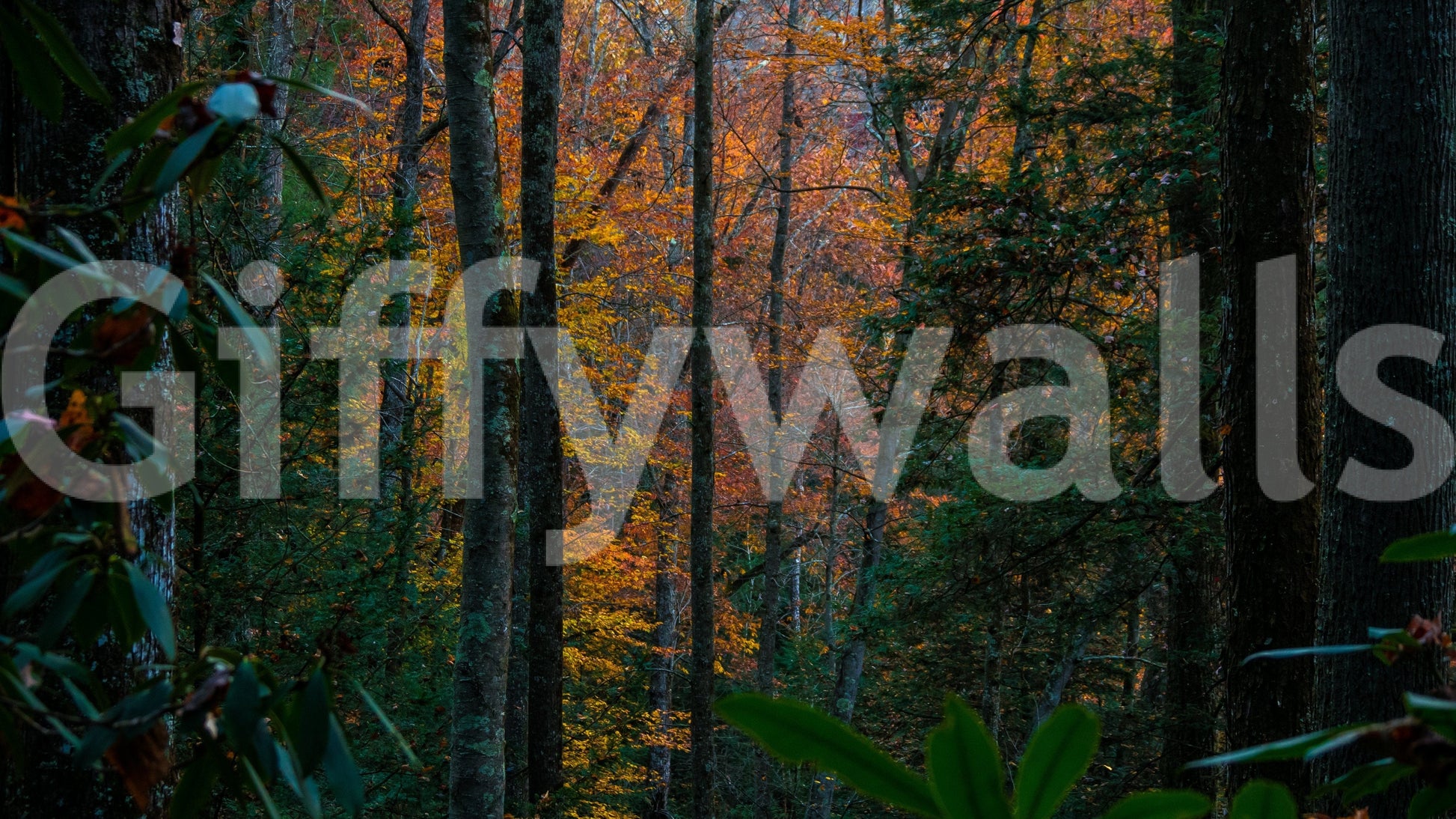 A high-quality minimalist tree wall mural for walls.

