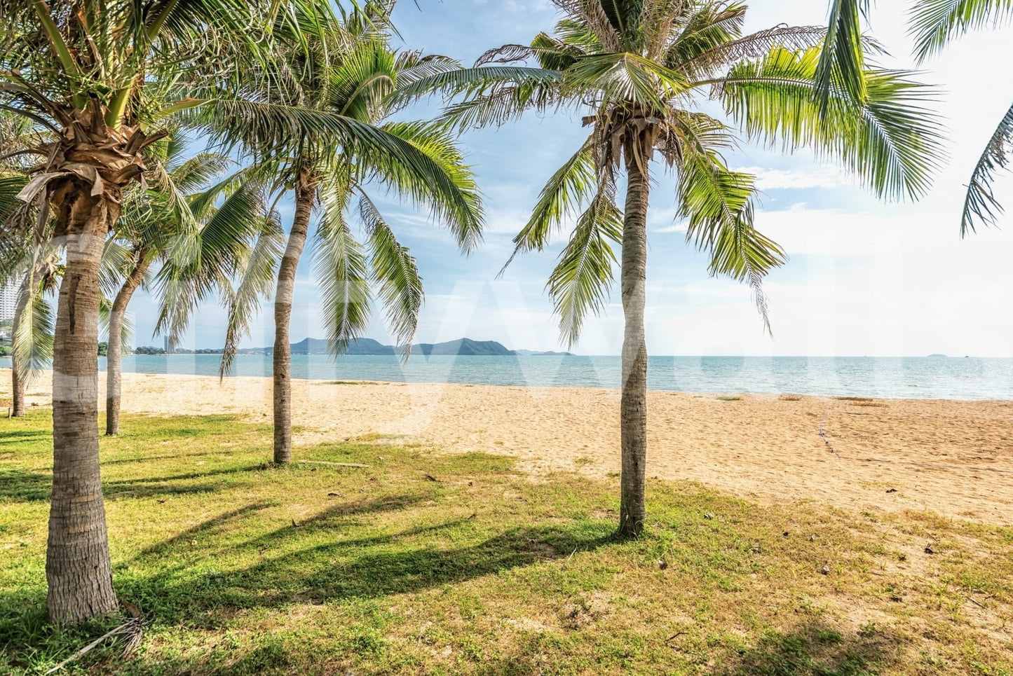 Calm shore wall mural refreshes bright space palms