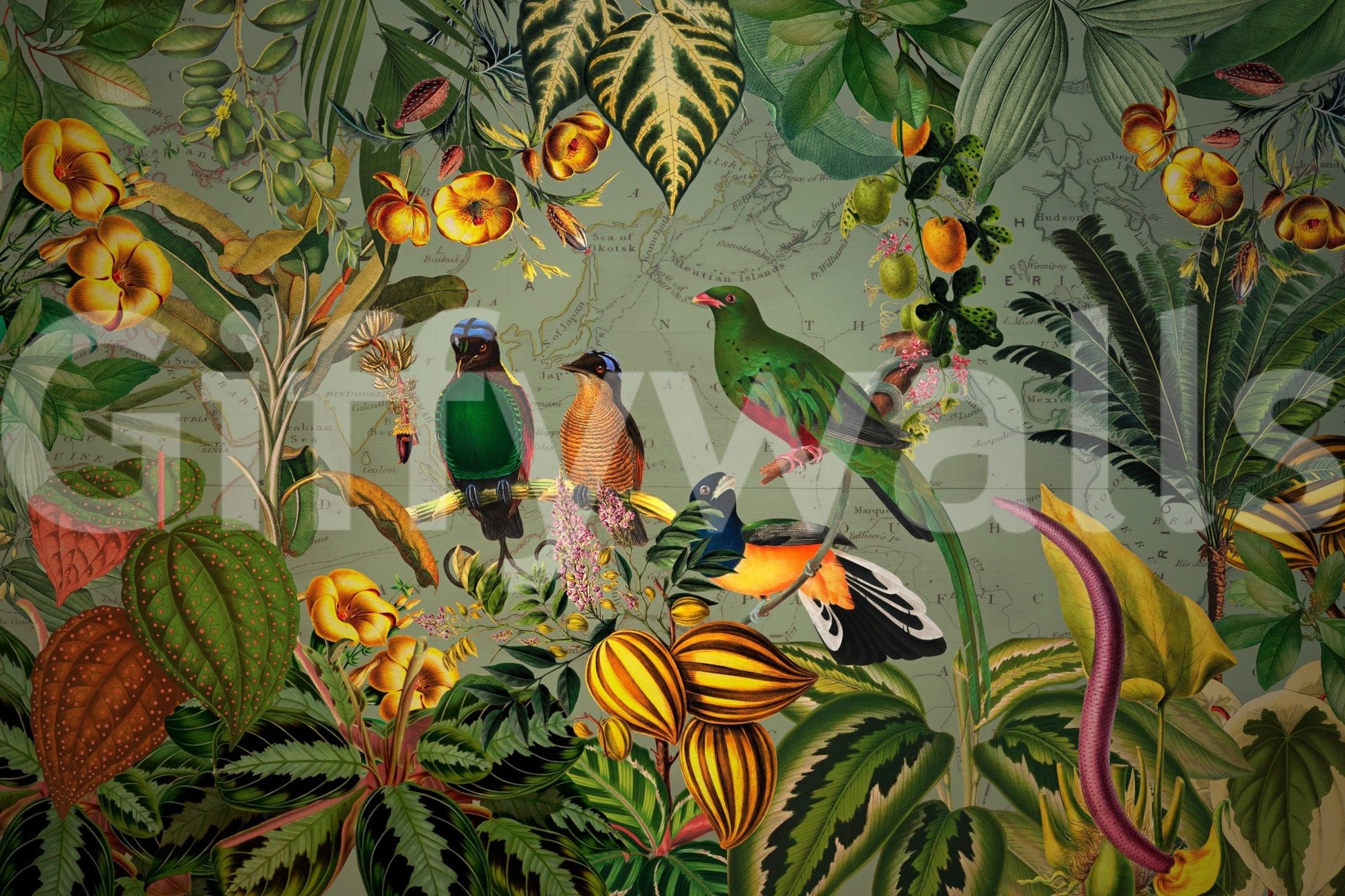 Tropical Explorers' Chart mural close-up showing green and orange birds among yellow striped fruit
