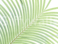 A detail of the organic lines and shadows in the design.

