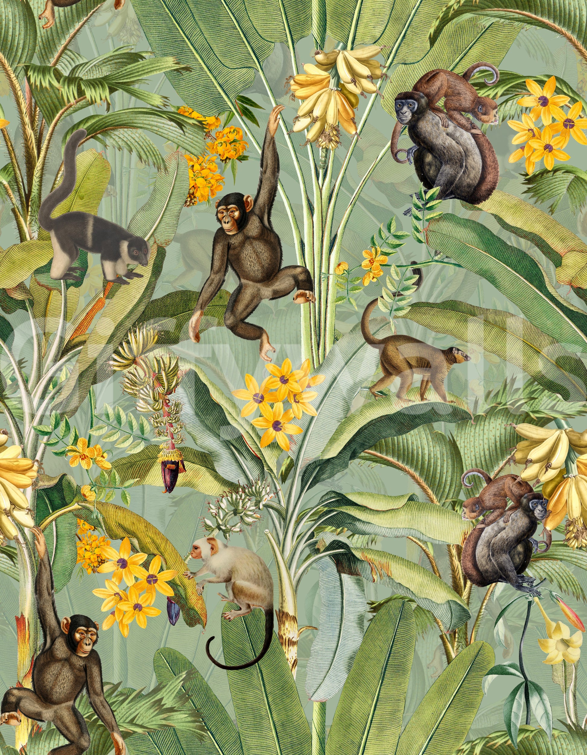 Bright and cheerful wallpaper with monkeys and tropical blossoms.

