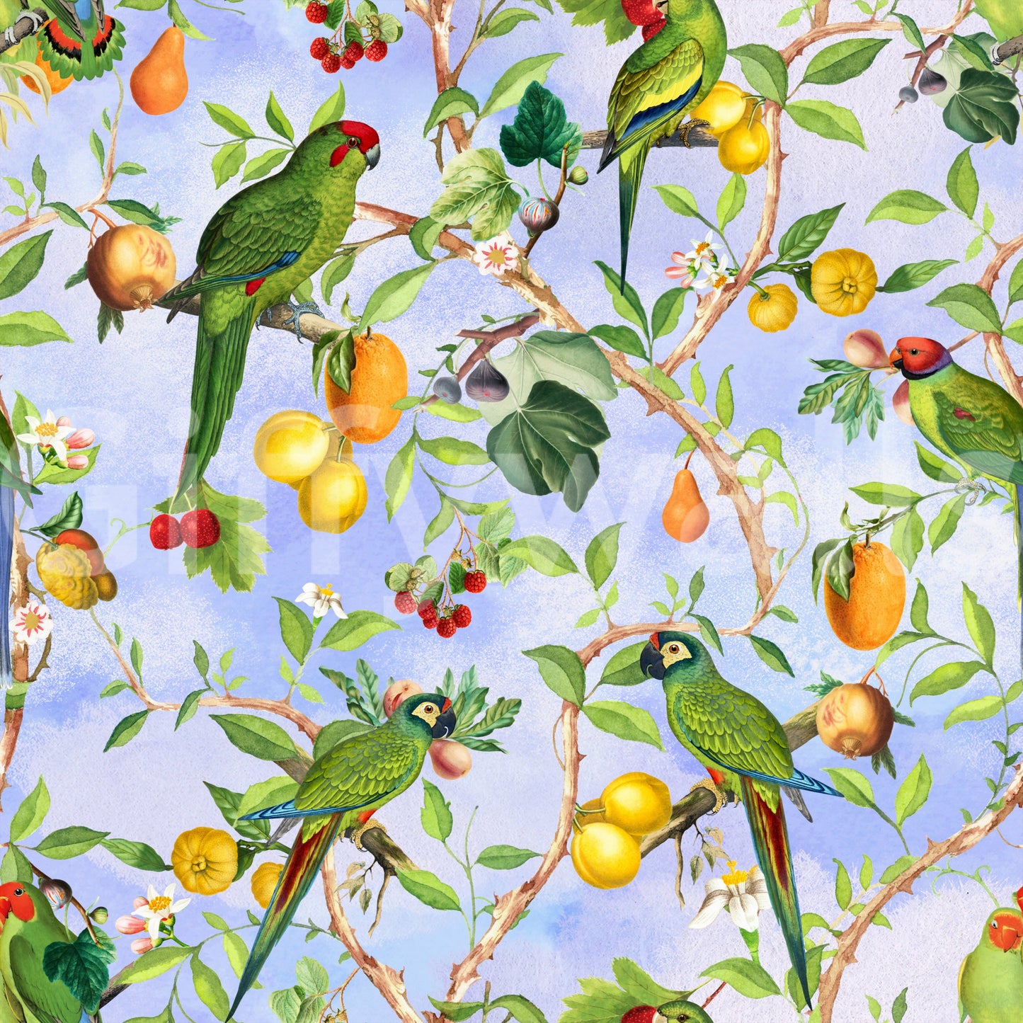 Nature-inspired wallpaper showcasing exotic birds and flora.

