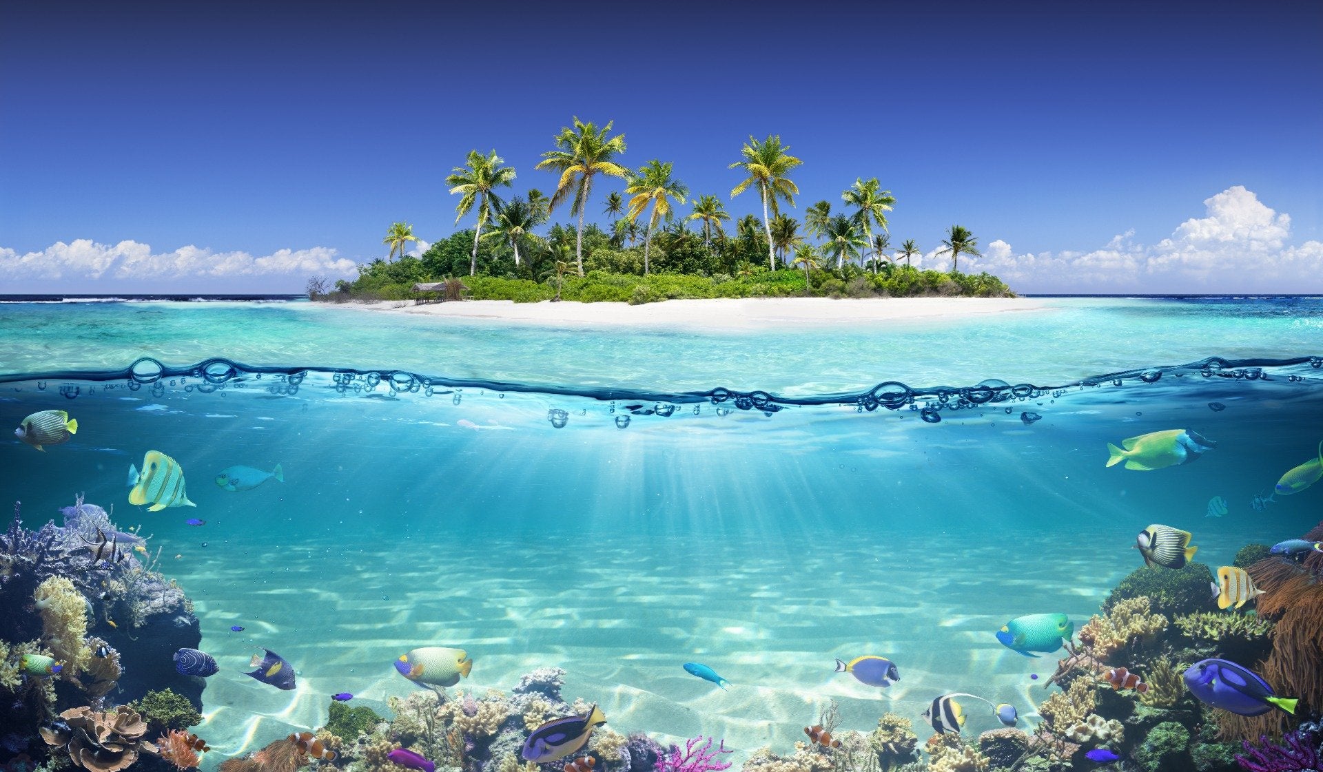 Blue Ocean Island Beach Wallpaper Mural in your room — zoomed