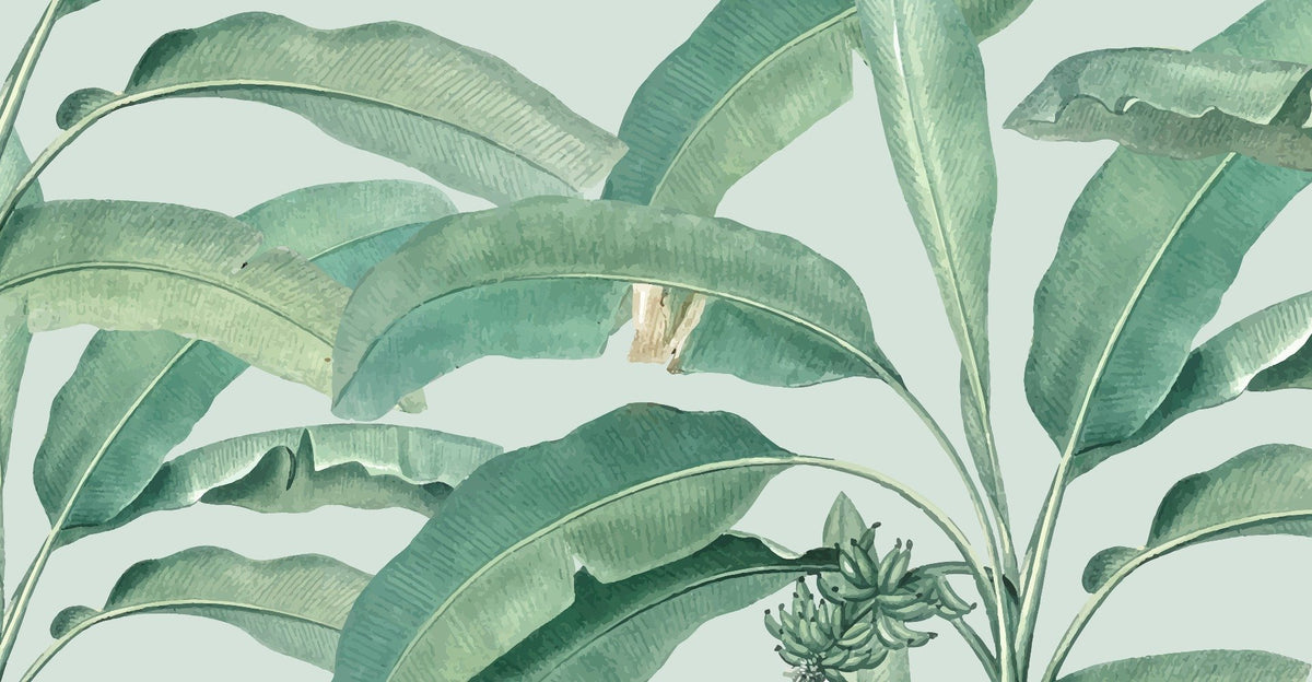 Tropical Banana Leaf Wall Mural in your room