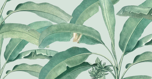 Tropical Banana Leaf Wall Mural