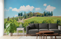 Panoramic Italian hills wall mural design