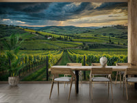 Tuscany grape fields wallpaper

