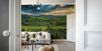 Green vineyard landscape wallpaper

