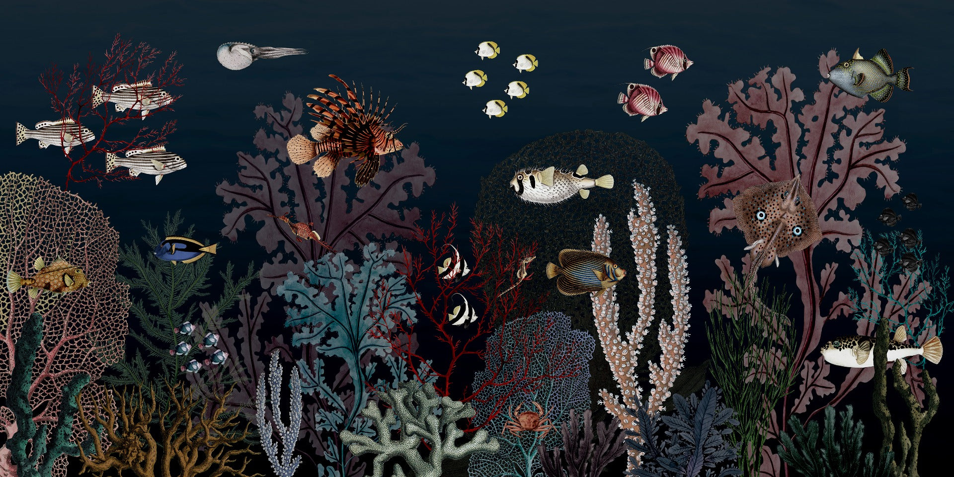 Underwater Dark Reef with Fish wallpaper for Kids room in your room — zoomed