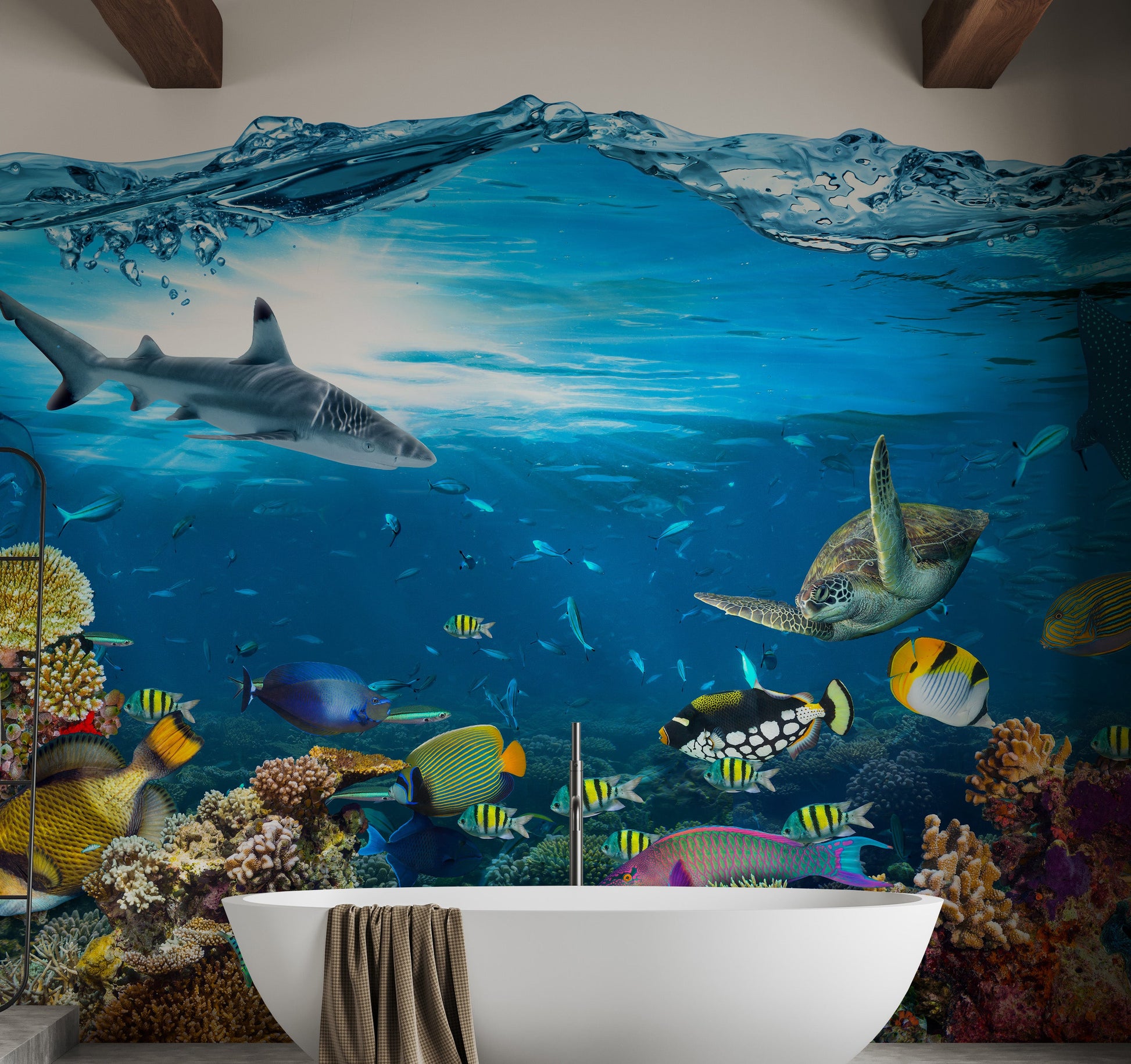 Underwater Splash with Corel Reef Wallpaper