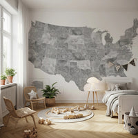 USA map with states and capitals in gray watercolor Wall Mural