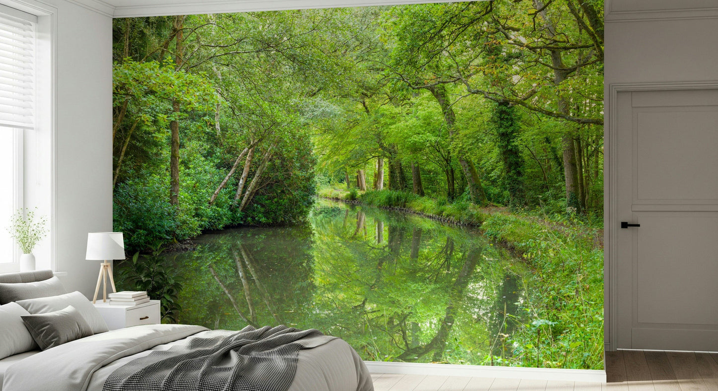 Idyllic forest stream, Stream Escape mural wallpaper, a superb, unspoilt natural image.