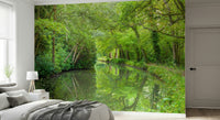 Idyllic forest stream, Stream Escape mural wallpaper, a superb, unspoilt natural image.