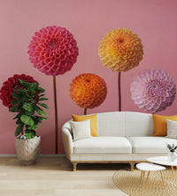 The background is a solid soft pink.

