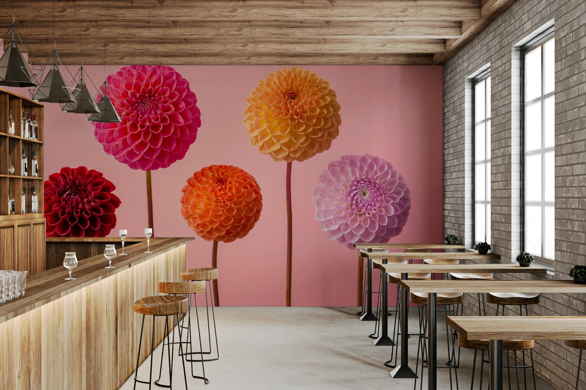 Five perfectly formed dahlia flowers.

