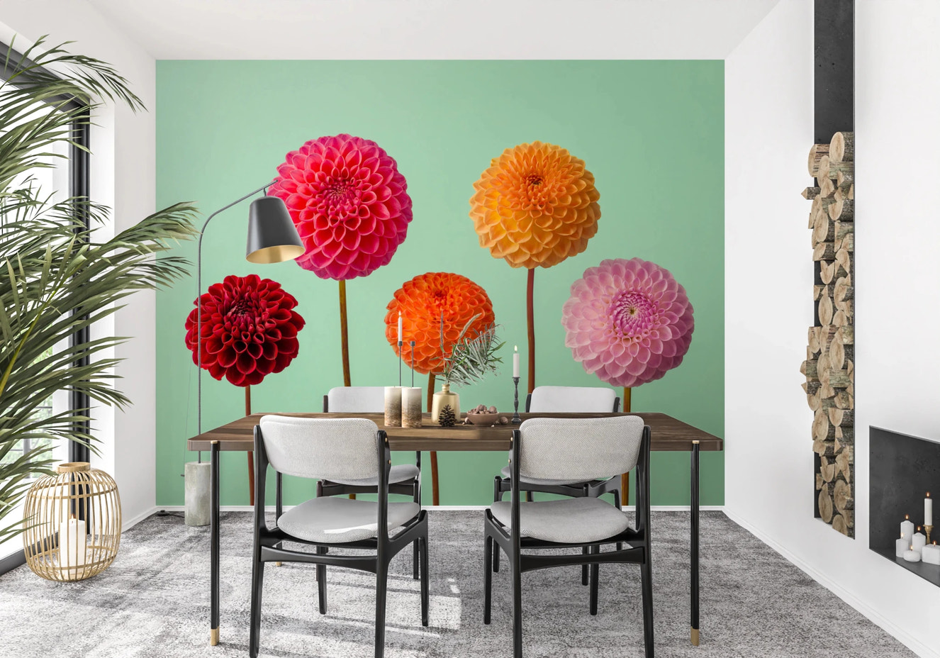 A Vibrant Dahlias Wall Mural with symmetrical spherical blooms.
