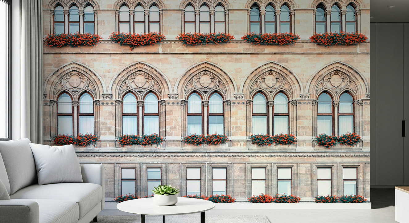 Vienna facade wall mural showing historic European building details