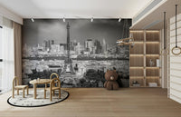 Architectural Paris vista from Montparnasse tower in monochrome

