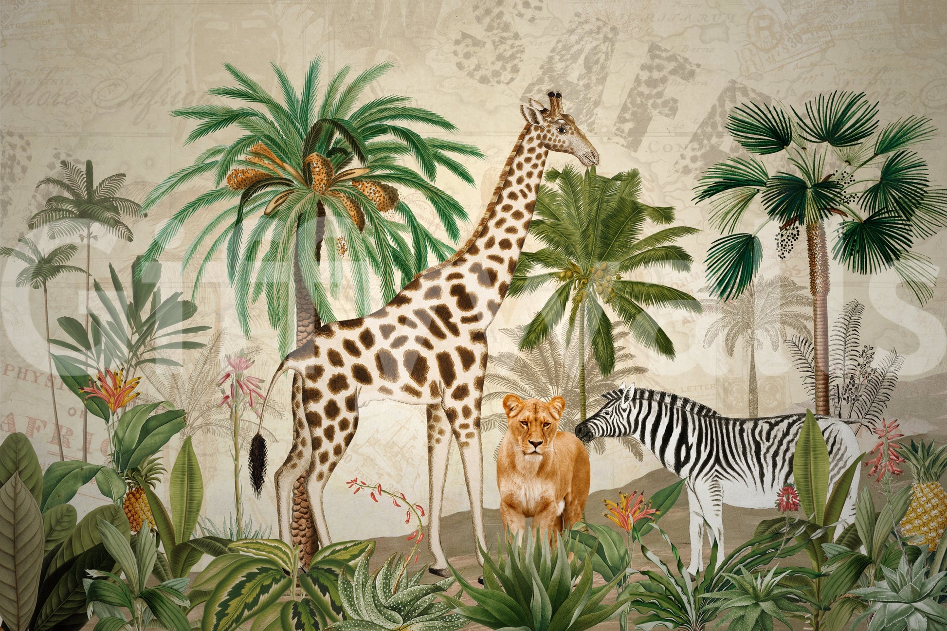 Safari-themed wallpaper for bedrooms

