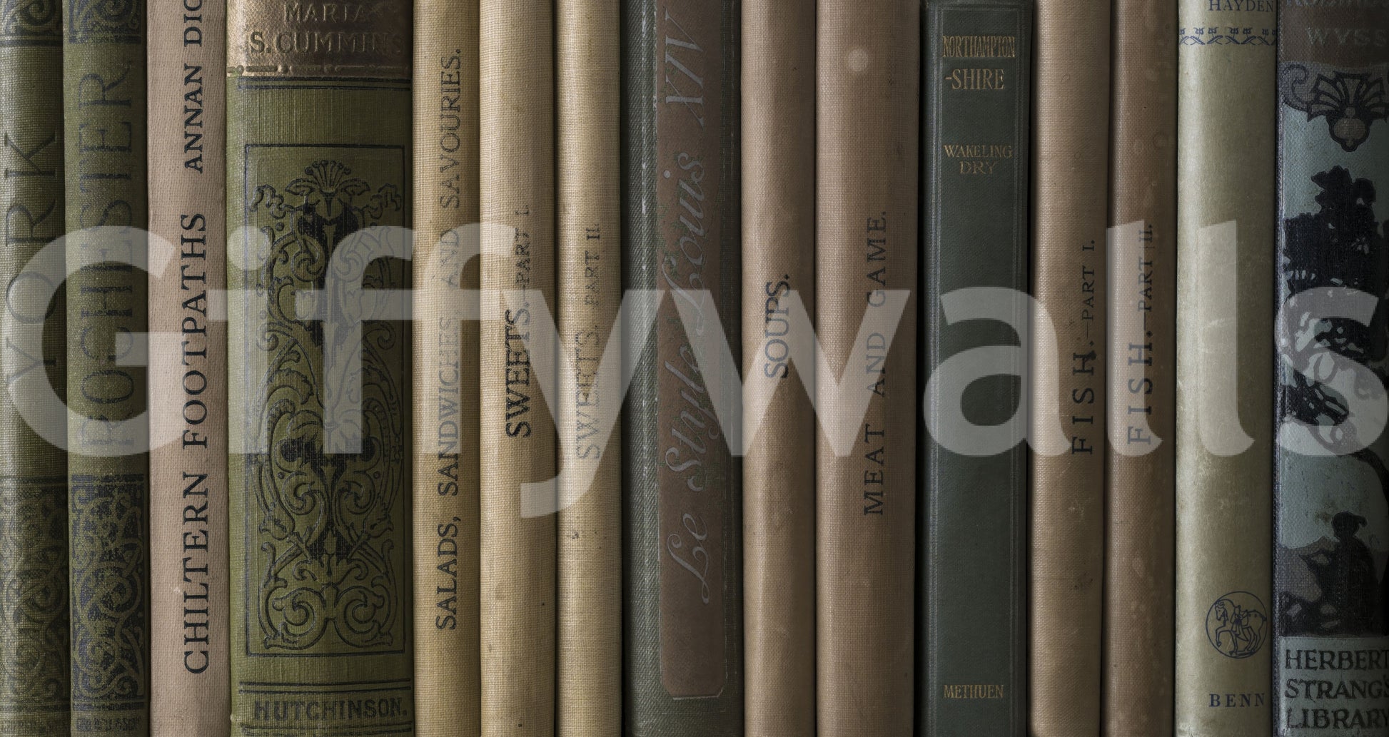 Antique literature mural displaying distressed book covers and ornate spine designs.