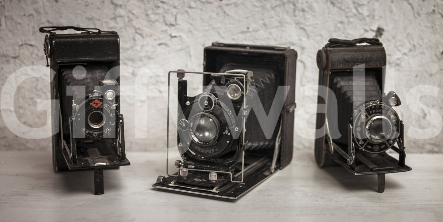 Vintage Camera Trio Wall Mural