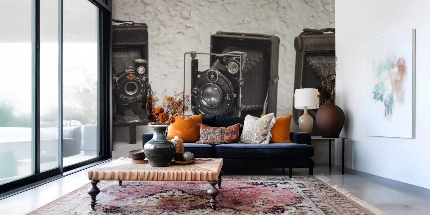 Vintage Camera Trio Wall Mural