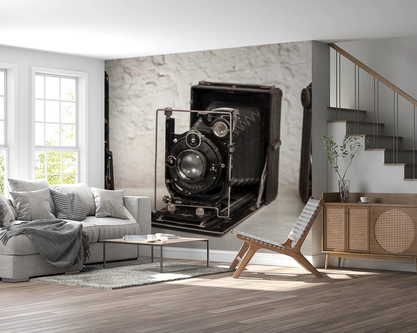 Vintage Camera Trio Wall Mural