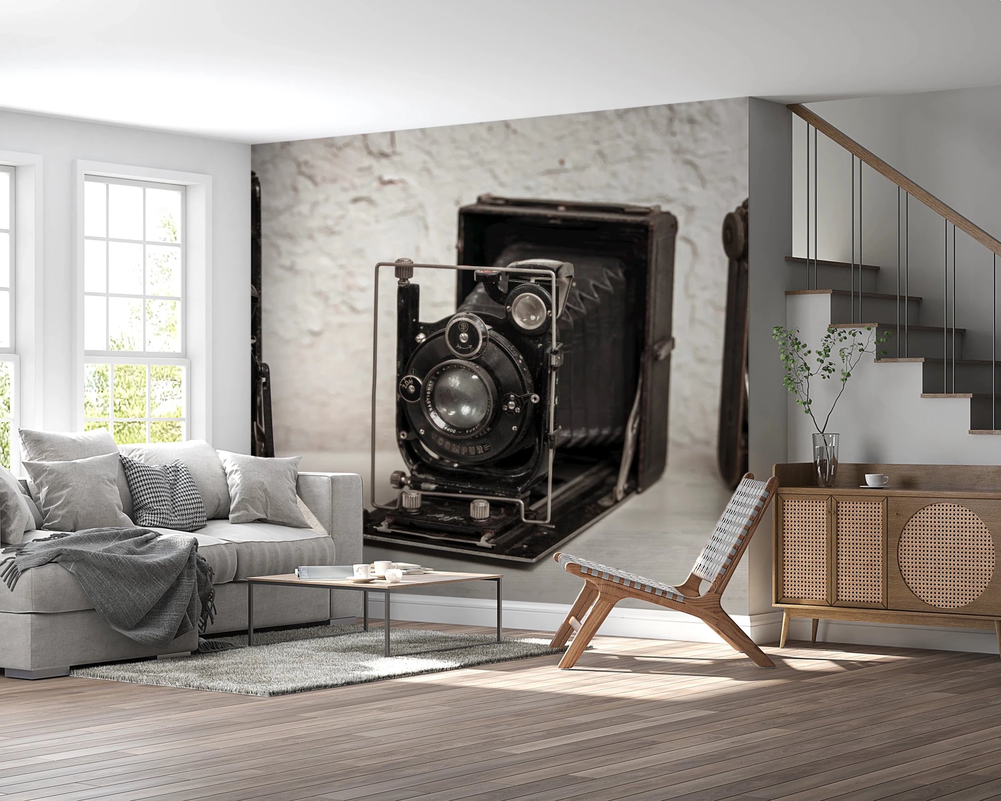 Vintage Camera Trio Wall Mural