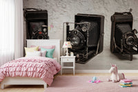 Vintage Camera Trio Wall Mural