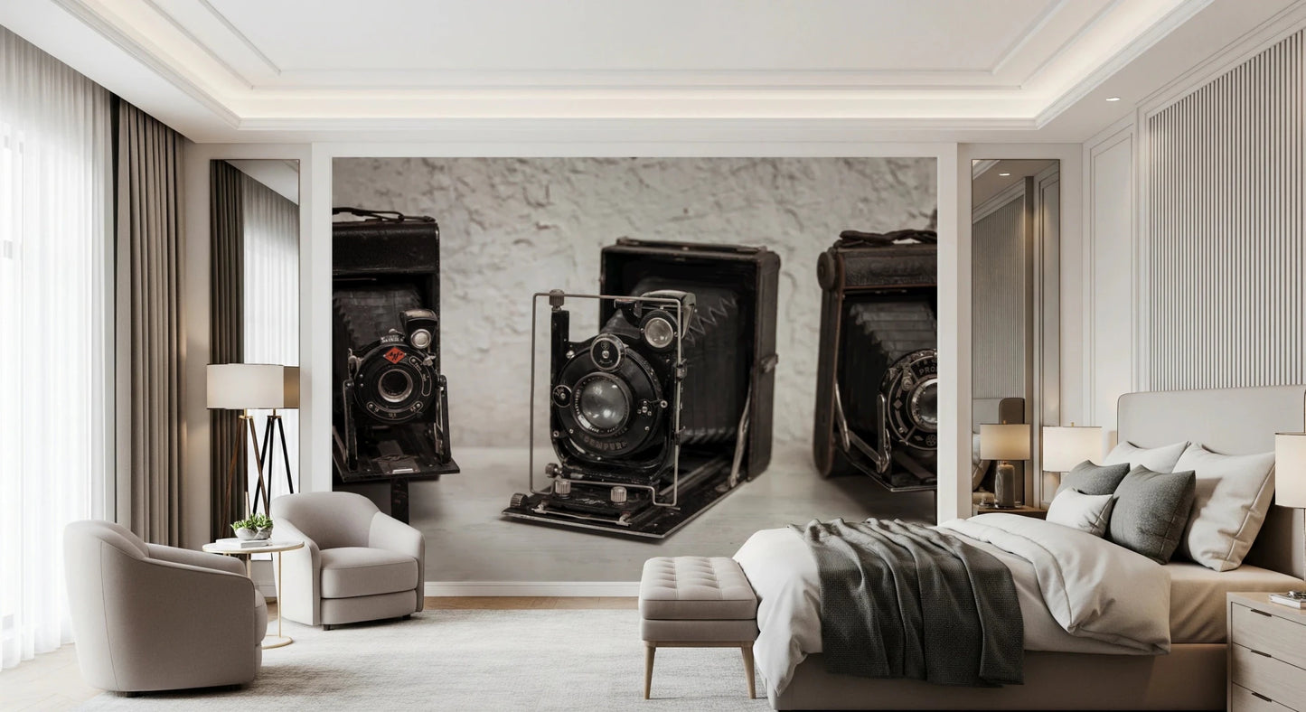 Vintage Camera Trio Wall Mural
