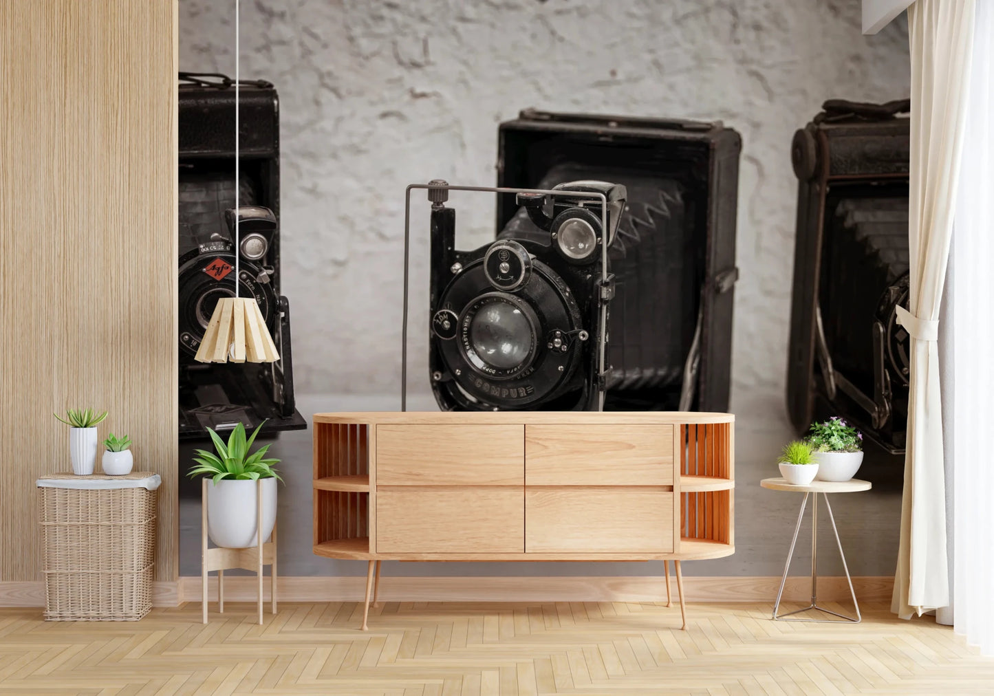 Vintage Camera Trio Wall Mural