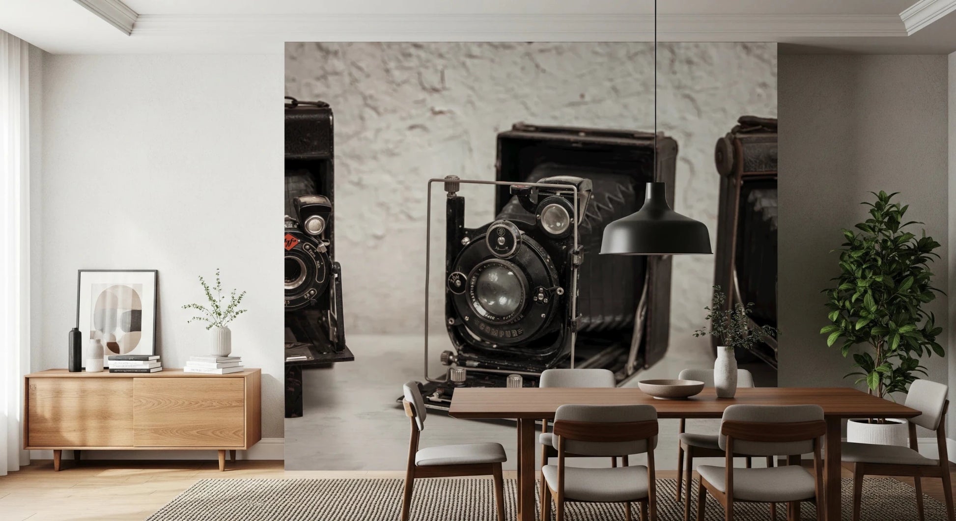 Vintage Camera Trio Wall Mural